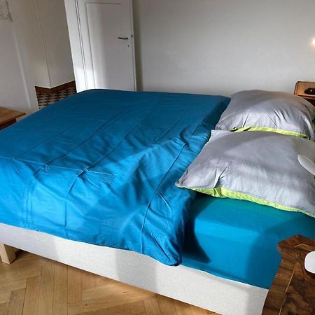 Joli 2 Pieces Dernier Etage, Lausanne Centre 外观 照片