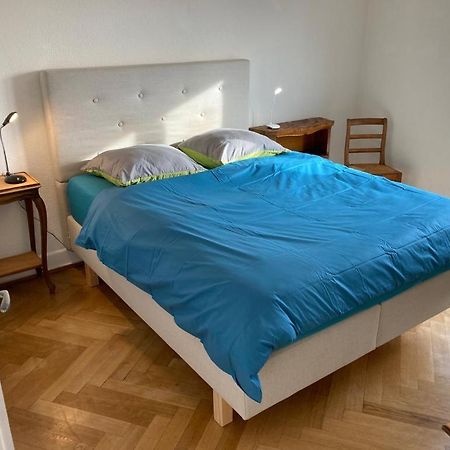 Joli 2 Pieces Dernier Etage, Lausanne Centre 外观 照片