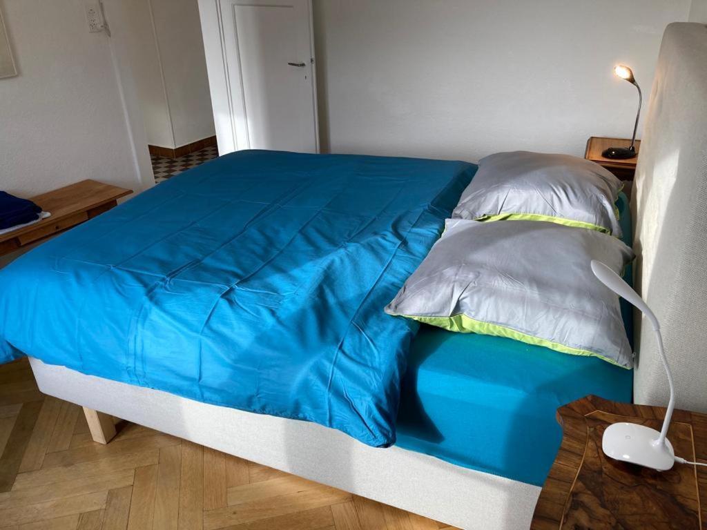 Joli 2 Pieces Dernier Etage, Lausanne Centre 外观 照片