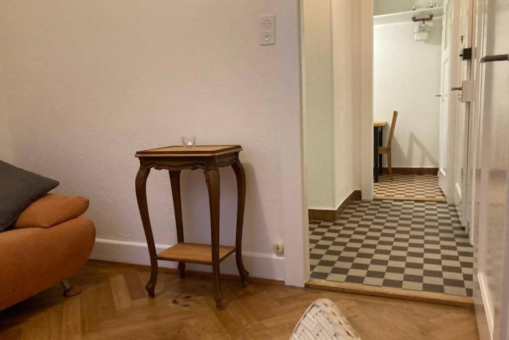 Joli 2 Pieces Dernier Etage, Lausanne Centre 外观 照片