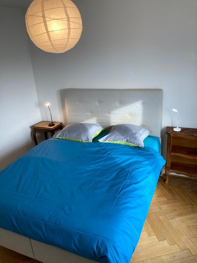 Joli 2 Pieces Dernier Etage, Lausanne Centre 外观 照片